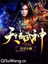 天域武神小说