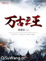 万古之王小说