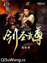 剑圣武尊小说