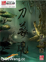 刀梦魂小说