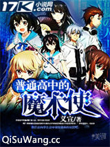 普通高中的魔术使小说