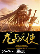 龙与天使小说