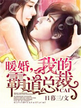 暖婚，我的霸道总裁小说