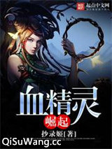 血精灵崛起小说
