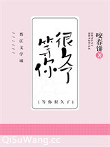 我等你，很久了小说