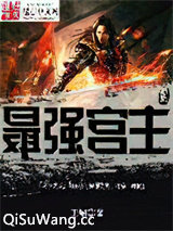 最强宫主小说