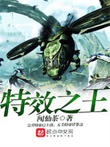 特效之王小说