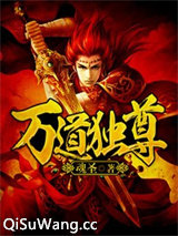 万道独尊小说