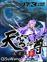 天穹神尊小说