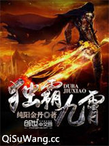 独霸九霄小说