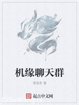 机缘聊天群小说