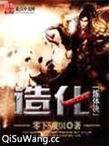 造化炼体决小说