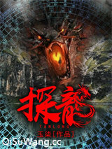 探龙小说