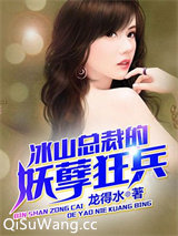 冰山总裁的妖孽狂兵小说