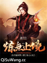 炼无止境小说