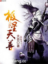 极星天尊小说