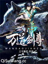 万道剑尊小说