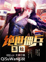 绝世佣兵系统小说