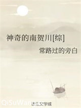 神奇的南贺川[综]小说