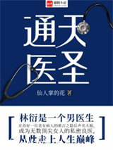 通天医圣小说