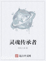 灵魂传承者小说