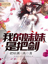 我的妹妹是把剑小说