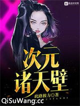 次元诸天壁小说
