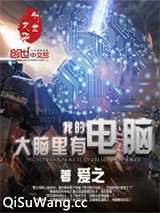 我的大脑里有电脑小说