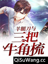 羊腿刀与三把牛角梳小说