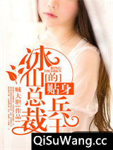 冰山总裁的贴身兵王小说