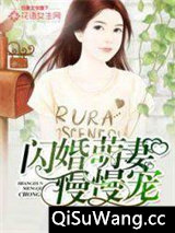 闪婚萌妻慢慢宠小说