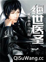 绝世医圣小说