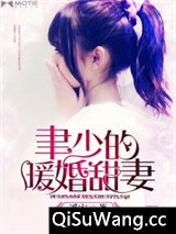 聿少的暖婚甜妻小说