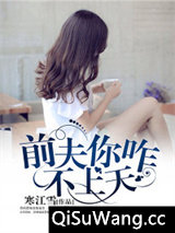 前夫你咋不上天小说
