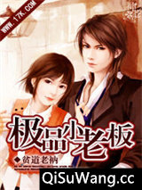 极品小老板小说