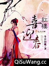 红楼喜迎春小说