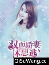双面娇妻休想逃小说
