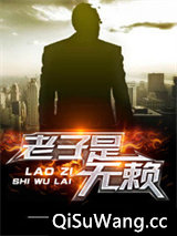 老子是无赖小说
