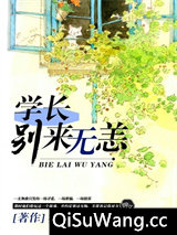 学长，别来无恙小说