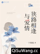 与爱情狭路相逢小说