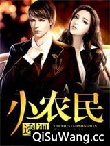 透视小农民小说