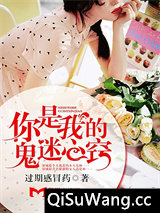 你是我的鬼迷心窍小说