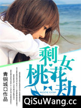 剩女桃花劫小说