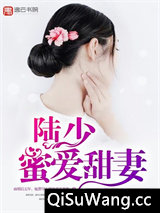 陆少蜜爱甜妻小说