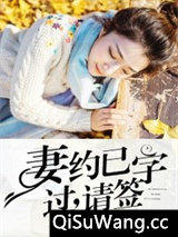 妻约已过，请签字小说