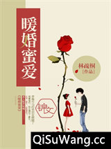 暖婚蜜爱小说