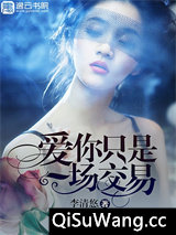 爱你只是一场交易小说