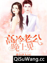 高冷老公晚上见小说