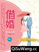 借婚小说