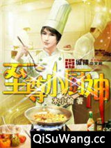 至尊小厨神小说